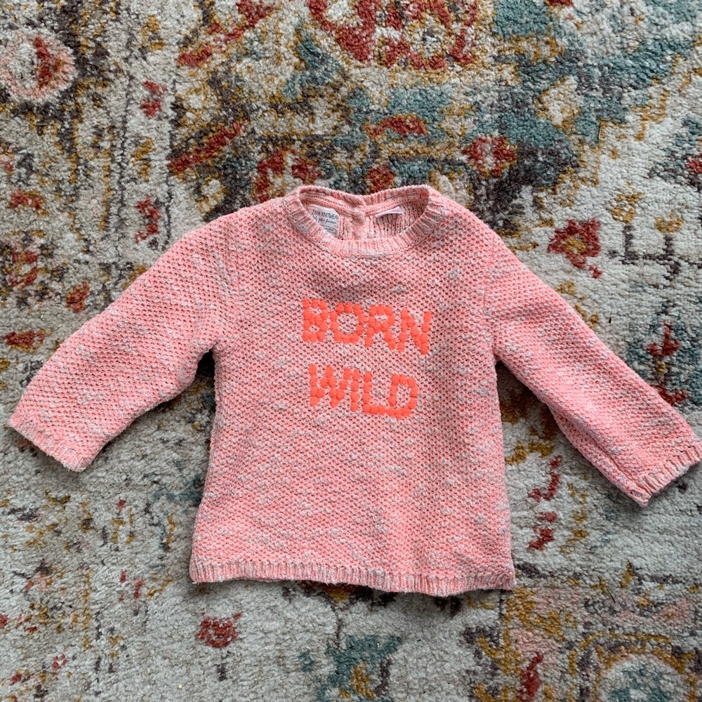 Zara Born Wild Knit Sweater